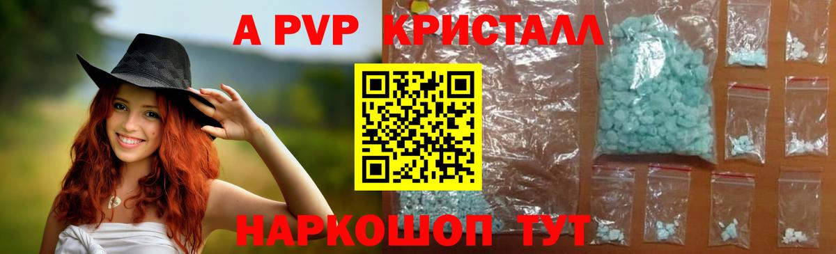 A-PVP СК Новодвинск