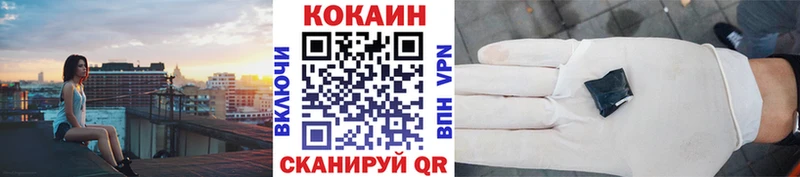 где купить наркоту  блэк спрут как зайти  Cocaine 97%  Новодвинск 