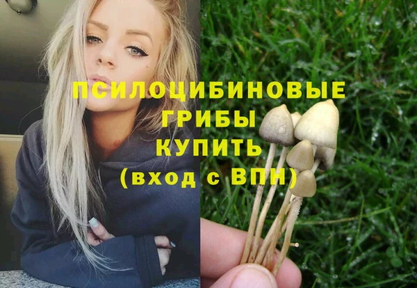 молекула духа Надым