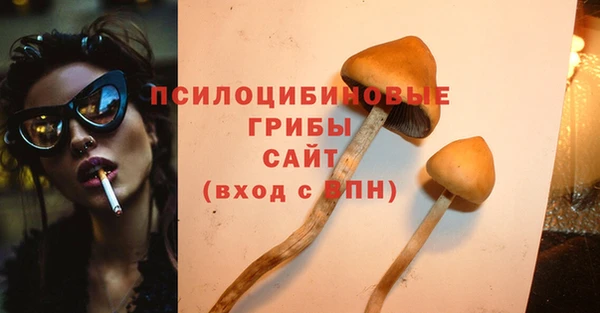 молекула духа Надым
