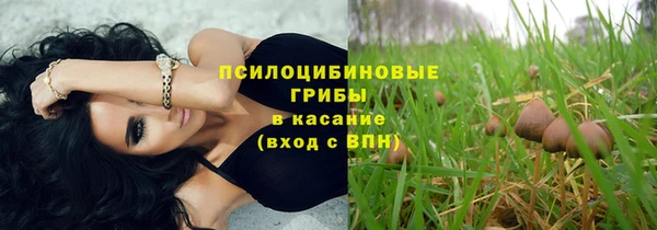 стафф Верхний Тагил