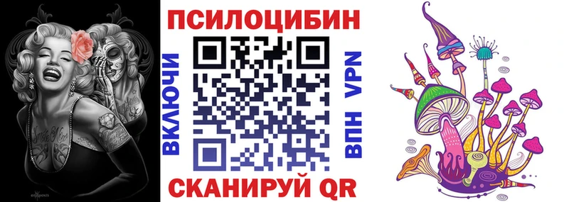 Псилоцибиновые грибы ЛСД  дарнет шоп  Новодвинск 